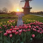 Joyce Masters - Facebook