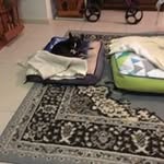 Joyce Masters - @masters.joyce - Instagram