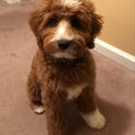 Joyce Masterson - @masterson.joyce - Instagram