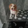 Joyce Mather - @joyce.mather - TikTok