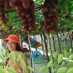 Joyce Maynard - @joyce.maynard.39 - Instagram