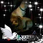 Joyce Maynard - @joycemaynard8266 - Instagram