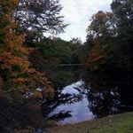 Joyce Maynard - @joyce.maynard.35 - Instagram