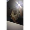 joyce_maynard - @joyce_maynard - TikTok