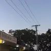 Joey Mcalpine - @joey.mcalpine - TikTok