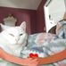 Joyce Mcalpine - Facebook