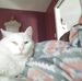 Joyce Mcalpine - Facebook