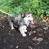 Hettie - @joycemcarthur7 - TikTok