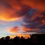 Joyce McAuliffe - @joycemcauliffe - Instagram