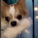 Joyce McCallister - @mccallisterjoyce - Instagram