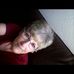 Joyce Mccarty - Facebook