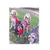 joyce mccloud - @sunnydoodlefarm01 - TikTok