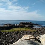 Joyce McCue - @joyce._mccue - Instagram