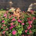 Joyce Mccue - Facebook