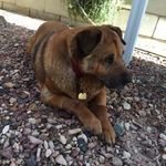 Joyce mccue - @mccuej775 - Instagram