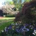 Joye McCullen - Facebook