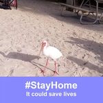 Joyce McDonough - @mcdonough6844 - Instagram