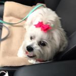 Joyce McDonough - @joyce.mcdonough.12 - Instagram