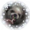 joycemcgee46 - @joycemcgee46 - TikTok