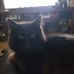 Joyce Umphlett Mcglone - Facebook