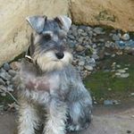 Joyce McGriff - @mcgriffjoyce - Instagram
