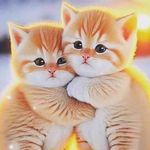 Fatima Abubakar - @joyce__mchenry - Instagram