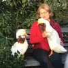 joycemchugh - @joycemchugh - TikTok