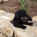 Joyce McKenna - @joytmck - Instagram