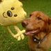 Joyce McMahon - Facebook