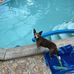 Joyce McNabb Caskins - Facebook
