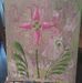 Joyce Medlin - Facebook