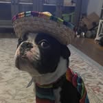Joyce Mellott - @mellott5773 - Instagram