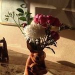 Joyce Meredith - @joycemeredith8462 - Instagram