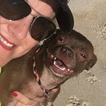Joyce Meredith - @jkmeredith - Instagram