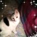 Joyce Midkiff - Facebook
