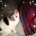 Joyce Midkiff - Facebook