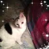 joycemidkiff765 - @joycemidkiff765 - TikTok