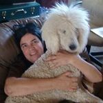 Joyce Milstead - @joycemilstead - Instagram