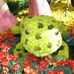 Joyce Moen - Facebook