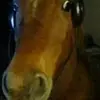 Joyce Mora - @joycepaolamora - TikTok