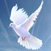 Joyce Mull - Facebook