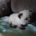 Joyce Mull - Facebook