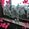 Joyce Murdoch - @joyce.murdoch - TikTok