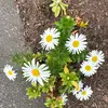 joycemurphy3521 - @joycemurphy3521 - TikTok