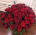 Joyce Nagle - Facebook