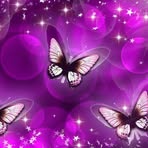 Joyce Nagle - Facebook