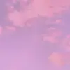 Joyce Navarro - @joycenavarro38 - TikTok