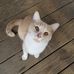 Joyce Neace - Facebook
