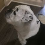 Joyce Needham - @needham1193 - Instagram