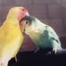 Joyce Ng - Facebook